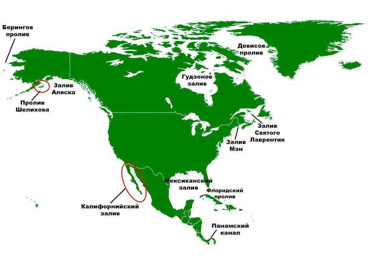 Какой залив на юге северной америки. Заливы Северной Америки на карте. Заливы и проливы Северной Америки на карте. Проливы Северной Америки. Карта Северной Америки с морями заливами и проливами.