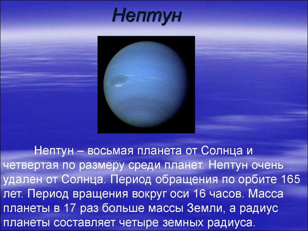 Сердце морского гиганта | публикации | вокруг света