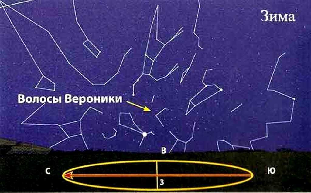 Волосы вероники — энциклопедия руниверсалис