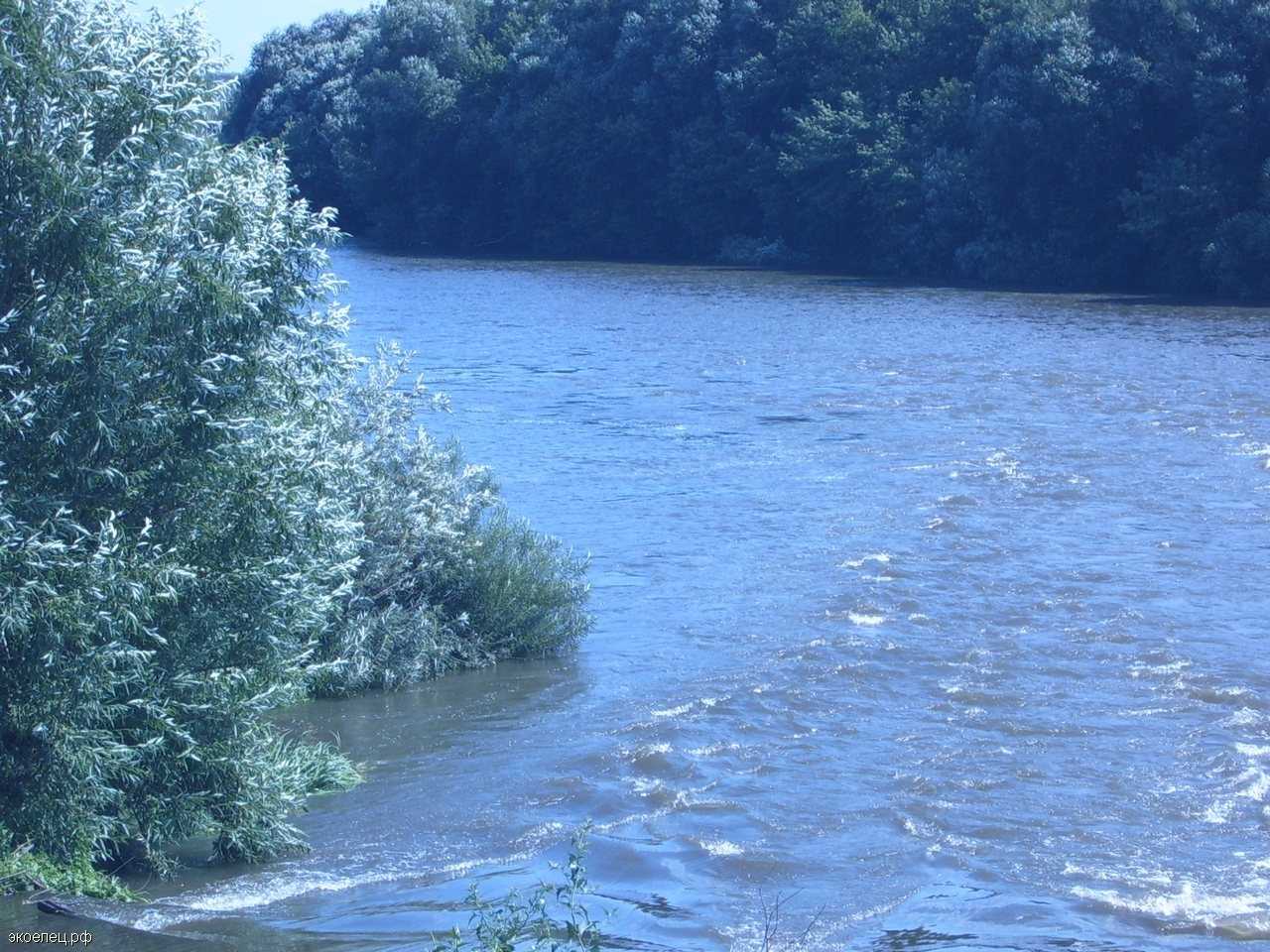 Вилейское водохранилище — рыбалка, отдых, кемпинг, пляж, на карте, карта глубин, фото, как доехать