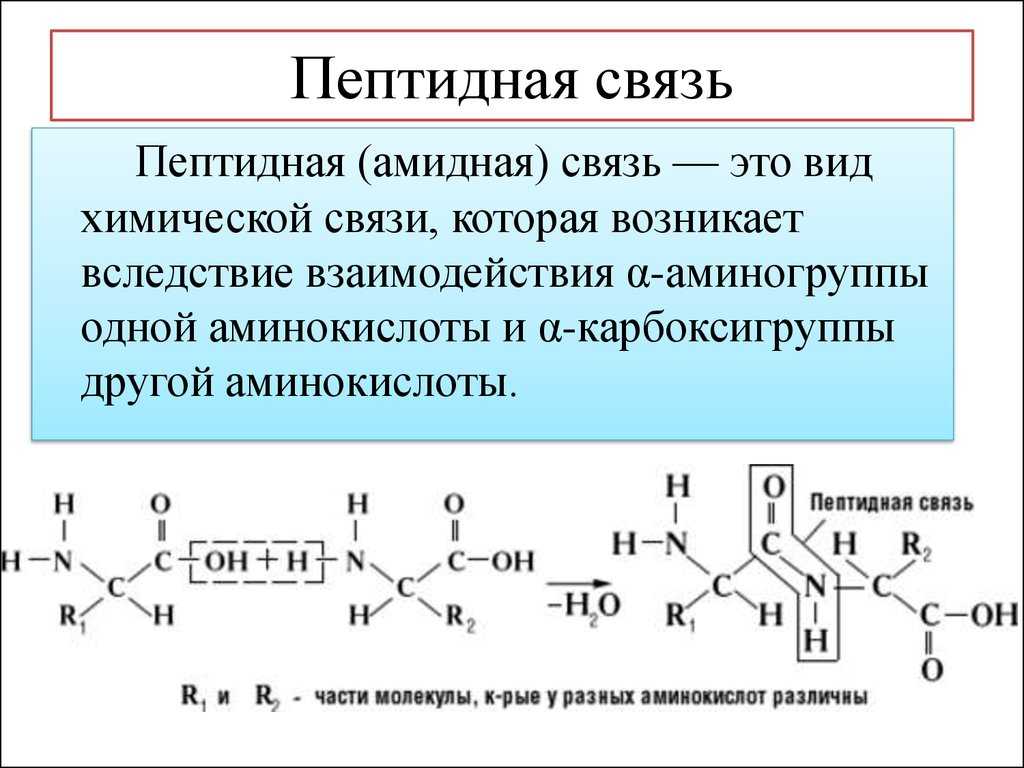 Звезда сириус - самая яркая звезда на небе