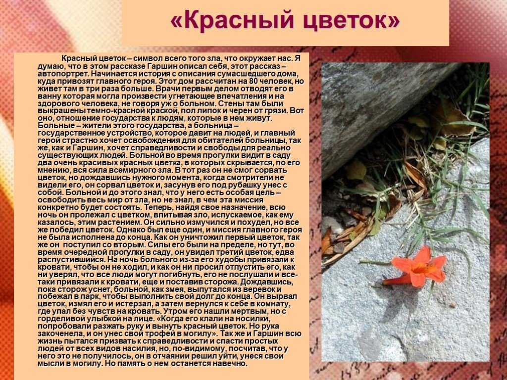 Краткое содержание в.м. гаршин «красный цветок» на сёзнайке.ру