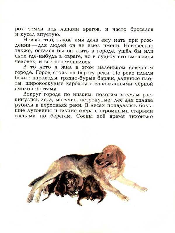 Краткое содержание гончий пес. «арктур - гончий пес»: изложение рассказа