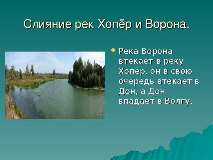 Ручей кривец приток реки воронья на кольском. рыбалка нахлыстом на реке воронья