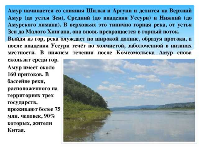 🌊река зея: притоки, исток, устье, карта, фотогаллерея